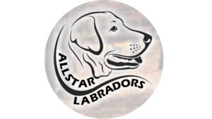 Allstar Labradors Logo